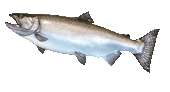 fish0005a.gif